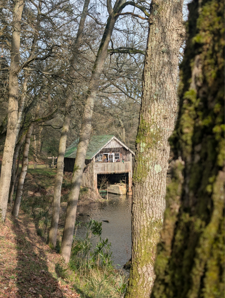 House in Trees